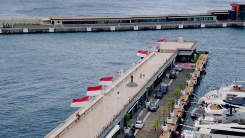 Elevated Monaco Harbor View with Flags and Vehicles Stock Footage 346783611