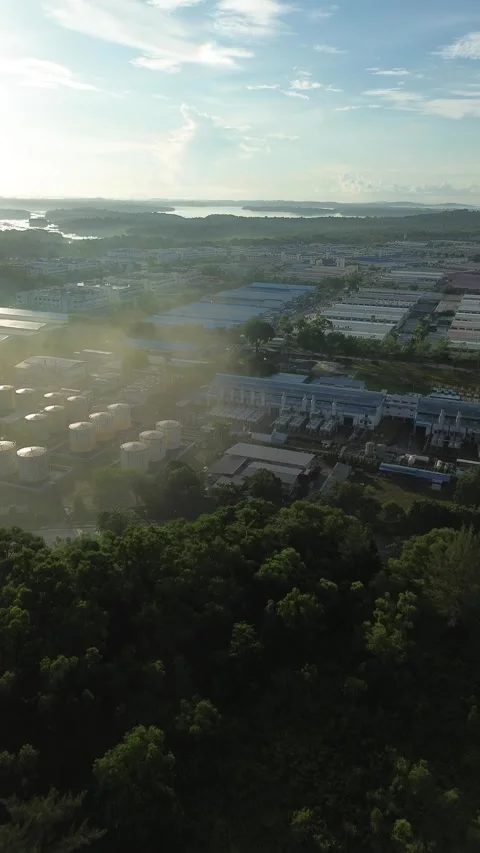 Elevated panorama of sunlit urban development merging with dense foliage an.. Video stock 337284316