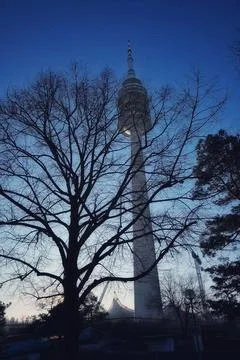 Elevated Park Watch Tower 库存照片