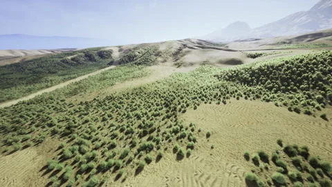 Elevated perspective reveals lush patches and barren areas clearly Stock Footage 340654713