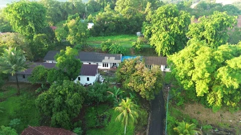 Elevated perspective of a tranquil settlement nestled deep within a vibrant.. Stock Footage 337284319