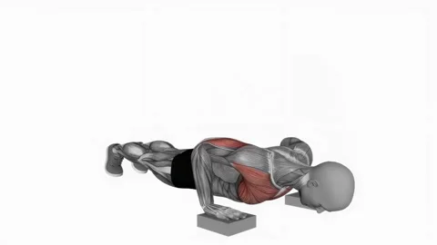 Elevated Push-Up fitness exercise workout animation male muscle highlight 4K Видео 243986165