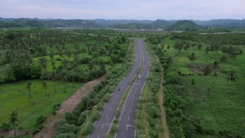 Elevated Road Weaves Through Vibrant Tropical Fields And Distant Hills 動画素材 334136790