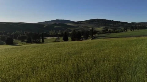 Elevated Shot of Tuscan Pasture Fields Bordered by Cypress Trees Vidéo 346743137