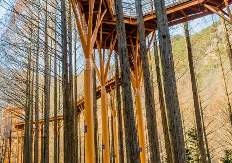 Elevated sky walk Stock Photos