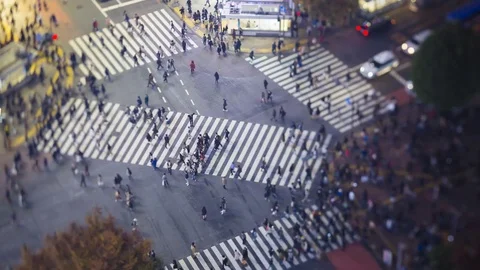 Elevated time lapse of crowds crossing the famous Shibuya Crossing, Shibuya, Stock Footage