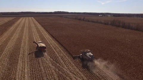 Elevated  tracking view of a farm combine harvesting GMO corn (maize) Stock Footage 72987146