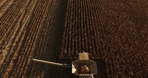 Elevated  tracking view of a farm combine harvesting GMO corn (maize) Stock-Footage 72988061