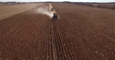 Elevated  tracking view of a farm combine harvesting GMO corn (maize) Stock Footage 72988265