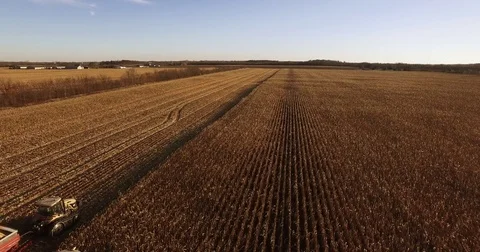 Elevated  tracking view of a farm combine harvesting GMO corn (maize) Stock Footage 72988342