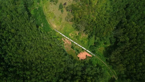 Elevated train winds through rich plants in Ella, Sri Lanka. Rail travels past Stock Footage 274541871