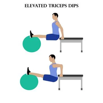 Elevated triceps dips exercise strength workout illustration Stock Illustration
