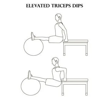 Elevated triceps dips exercise strength workout illustration outline Stock Illustration