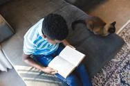 Elevated View Of African American Boy Reading Book And Sitting On Couch With Cat Stock Photos