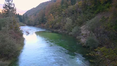 Elevated view of beautiful Alpine pristine river flowing in narrow Alpine valley Stock Footage 143320032
