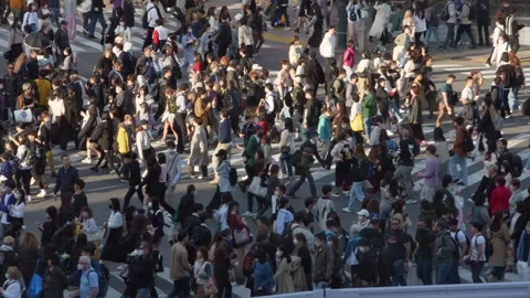 Elevated view of a bustling crowd of people crossing the famous Shibuya Crossing Stock Footage 262825311