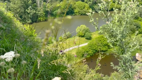 Elevated view of a calm river winding through dense green forest, with tall Stock Footage 328763455