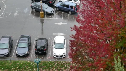 Elevated view capturing cars in a wet parking lot alongside a beautiful red.. Stock Footage 345560219