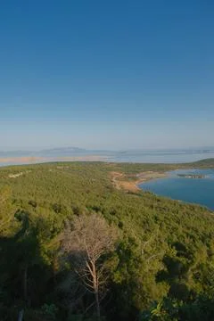Elevated view of a coastal landscape with islands and pine trees Stock-Fotos