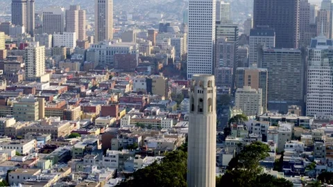 Elevated View of Coit Tower and Urban Architecture in San Francisco Vídeos de archivo 346904973