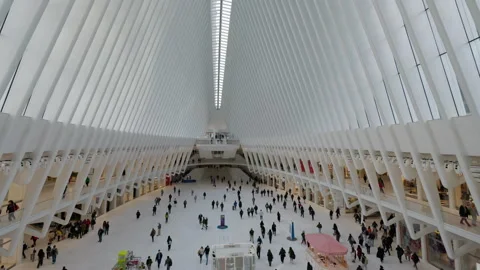 Elevated View of Commuters in Oculus Transit Hub Video stock 342628120