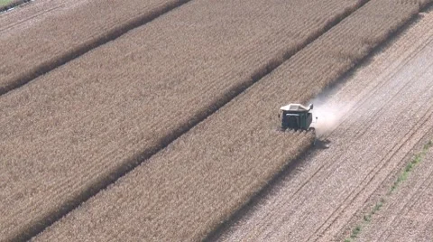 Elevated view of corn harvesting Stock Footage 7748387