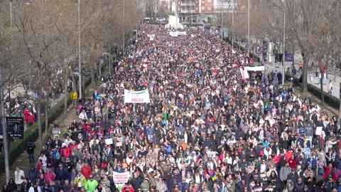 Elevated view of crowd marching in protest against cuts in public spending, 4k Stock Footage 233745493
