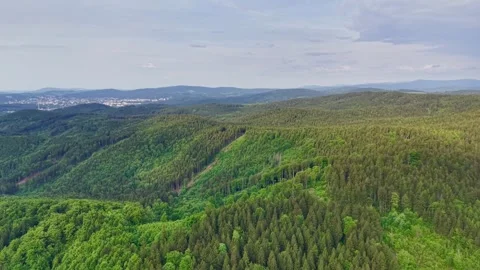 Elevated view of dense mixed forest across rolling hills under overcast sky, Stock Footage 342359311