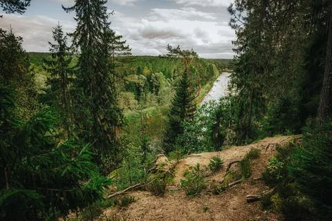 Elevated view from a forest cliff edge with a scenic river winding through. Stock Photos