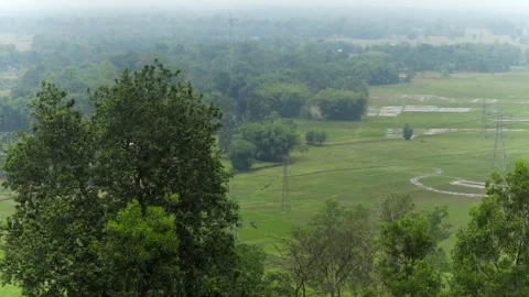 Elevated view of green countryside with trees and agricultural fields Vídeos de archivo 337926788