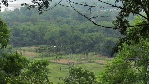 Elevated view of green farmland surrounded by dense forest and rural landscape Vídeos de archivo 337927164