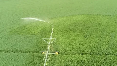 An elevated view of a green, lush soybean field with active sprinklers Stock-Footage 343032774