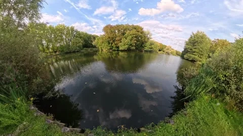 Elevated View of a Lakeside | Wide-Angle Nature Footage Stock Footage 315931885