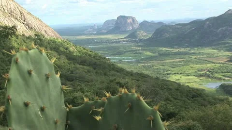 Elevated View of Lush Green Mountains, Prickly Pear Cactus in the Foreground 2 Stock-Footage 19029074