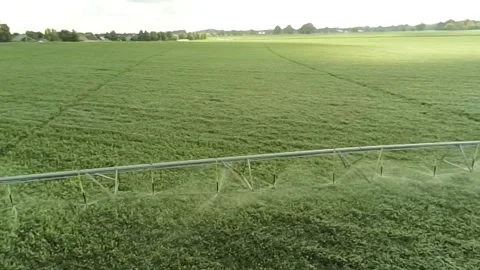 An elevated view of a lush, green soy bean field with active irrigation Stock-Footage 343032737