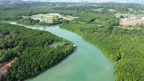Elevated view of a meandering emerald river cutting through vibrant tropical Stock-Footage 325201148
