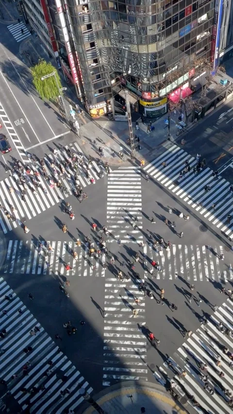 Elevated view over an asian people walking in busiest road intersection. Stock Footage 318976160