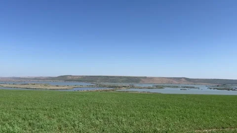 Elevated View over Delta Moldovei – Romanian Wetland Landscape Stockbeeldmateriaal 316075632