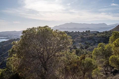 Elevated view over a forest with a glimpse of a coastal town, against a backdrop Stock Photos