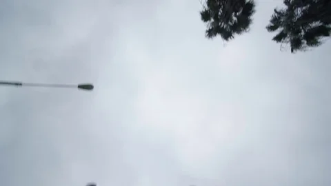 Elevated view of palm trees lining street while driving Stock Footage 83057416