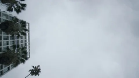 Elevated view of palm trees, sky, and buildings while driving in LA Video stock 83057484