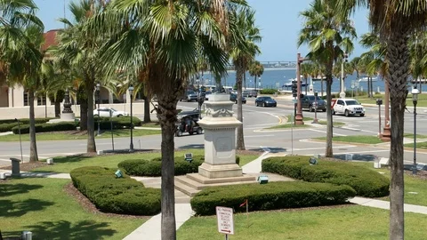 Elevated view of palm trees &amp; traffic, St. Augustine, Florida, United States. 스톡 동영상 115964601
