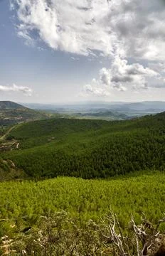 Elevated View of Pine Forests and Hills in Pina de Montalgrao, Spain Stock Photos
