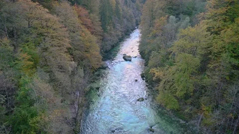 Elevated view of pristine river Bohinjska Bistrica in Slovenia Stock Footage 141821399