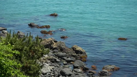 Elevated view of rugged rocky shore with boulders in clear turquoise sea in Vidéo 336664457