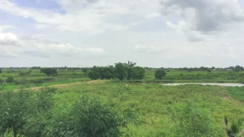 Elevated View of Rural Green Meadow with Small Pond and Bamboo Trees Stock Footage 344690075