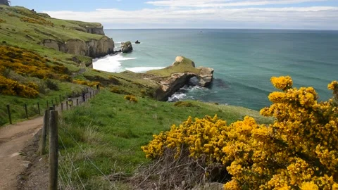 Elevated view of sandstone cliffs and arch at Tunnel Beach, Otago, New Zealand. Stock Footage 132834231