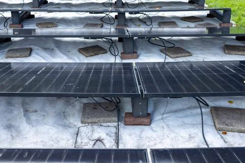 Elevated View of Solar Panels in garden Photo 16 of 16 Stock Photos