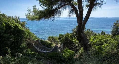 Elevated view of a stone staircase surrounded by greenery leading to the ocea Stock Photos