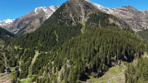 Elevated View of Thick Mountain Forest and Distant Crests Stock Footage 343212248